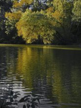 Drosseln / ***