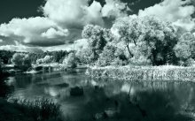 Drosseln / ***