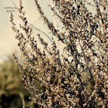 Herbst / ... 2009
