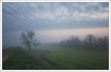 Sleepy Morgen ... / ***