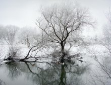 Winter Arganza / ***