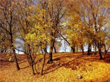 Kontraste im Herbst / *****