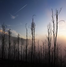 ANDERE LAND / ***
