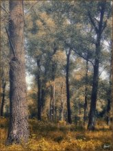 Herbst, nedremuchy / ..................................