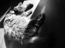 in der Sonne / ***