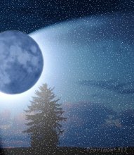 Lunar Schnee / ***
