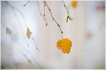 Abschied fallen / ***