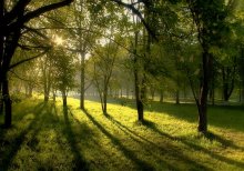 Frühlingsmorgen / ***