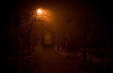 Verspätete Halloween / ***