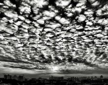 Heavenly Dürre / *****************