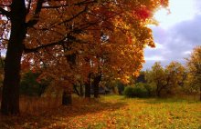 Herbststimmung / ......