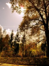 Herbstspaziergang / ********