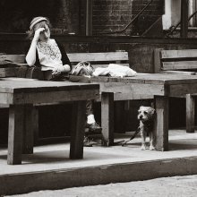 Die Dame mit dem Hündchen. Repost / ***