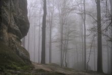 Nebel / ***