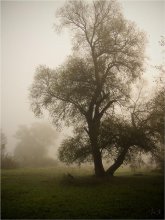 Im Nebel der Herbstmorgen / ***