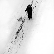 Der erste Schnee und die Dame mit dem Hund / ...........
