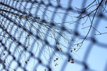 Netzwerk / ***