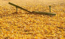 gebrochen Herbst / ***