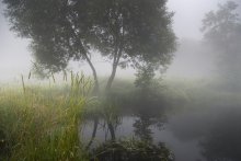 Juli Nebel / ........