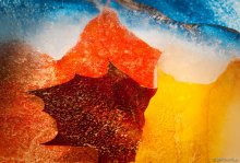 Frozen Fire / ***