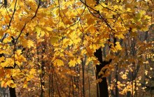 Farben, September ... / ********