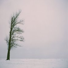 "Bald Schneestürme und Schneestürme, bald Tod des Grundstückes" / ***