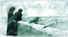 Winter Love / ***