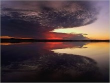 Sunset Wings / ***
