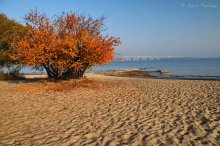 Herbst / ***