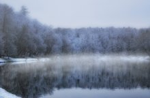 Nebligen Morgen / ***