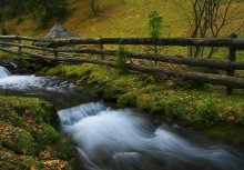 Creek / ***