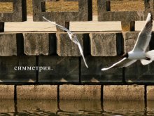 Symmetrie. / ***
