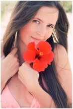 Red Flower / Appartements / ***