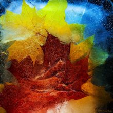 Die Geister der Tiefe / ***