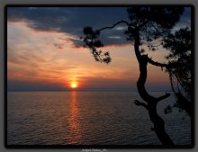 ... Narotsch: Dawn ... / .......