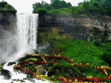 Niagara Falls / --------------------------
