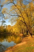Herbst Akkord / ***********