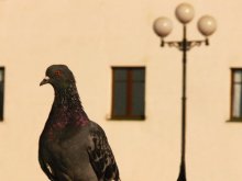 um 7 Uhr auf unserer Website. / ***