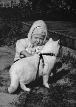Ich liebe mein Pferd ... / ********