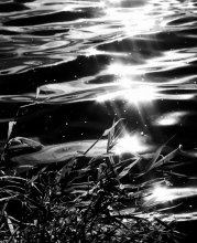 "No name" / ***