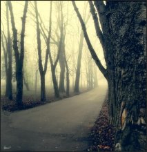 Scheibe November / .......................