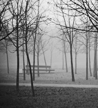 Herbstmorgen / -----