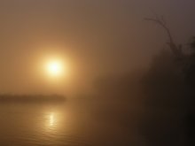 fabelhafte Morgengrauen ... / ************