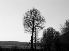 Leiter, um einen Traum / ***