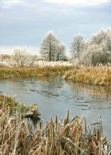 Frost / .............