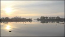 rankavaya byazvetran / .....