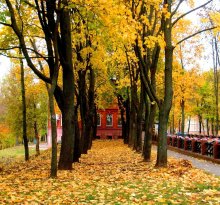 Es lebt im Herbst. / ***