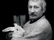 Man-Rabbit / ***