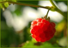 Herbst geschmackvollen ... / ***
