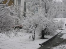 Winter / ***